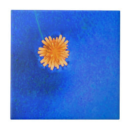 Carreau En Céramique Fleur orange solitaire