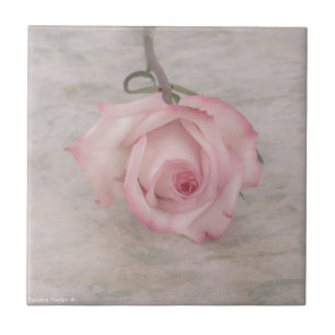Carreau En Céramique Fleur rose douce