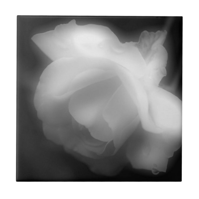 Carreau En Céramique Fleur rose En Noir Et Blanc (Devant)