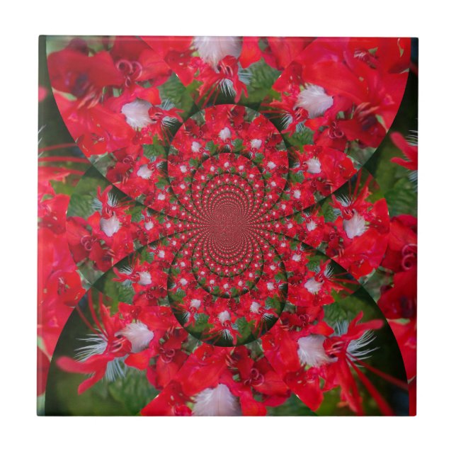 Carreau En Céramique Fleur Rouge Naturelle Blanc Plumes kaléidoscope ar (Devant)