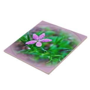 Carreau En Céramique Fleur sauvage Deptford Pink