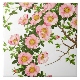 Carreau En Céramique Fleurs de cerisier japonaises vintages, rose et or