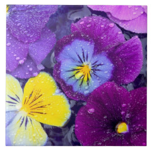 Carreau En Céramique Fleurs de sansonnet flottant dans un bain d'oiseau