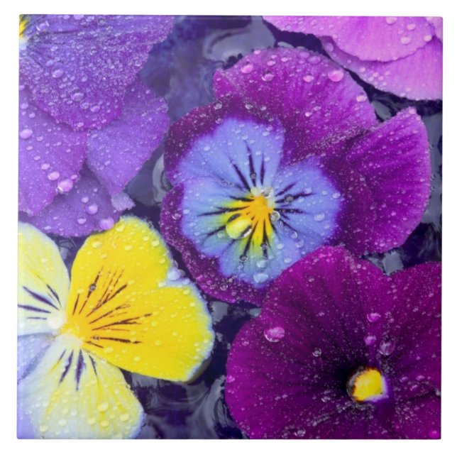 Carreau En Céramique Fleurs de sansonnet flottant dans un bain d'oiseau (Devant)