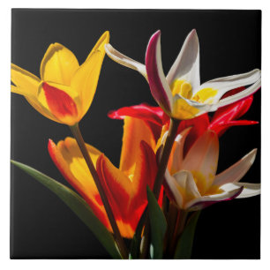 Carreau En Céramique Fleurs de tulipe contre arrière - plan noir