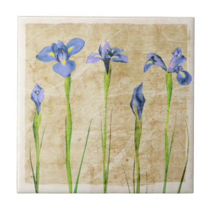Carreau En Céramique Fleurs d'Iris bleu violet Brown Arrière - plan fl