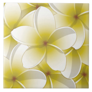 Carreau En Céramique Fleurs frangipani/Plumeria