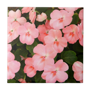 Carreau En Céramique Fleurs roses sensibles de ressort
