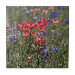 Carreau En Céramique Fleurs sauvages de pinceau indien et de Bluebonnet