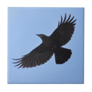 Carreau En Céramique Flying Black Raven Corvid Crow-lover Photo Design