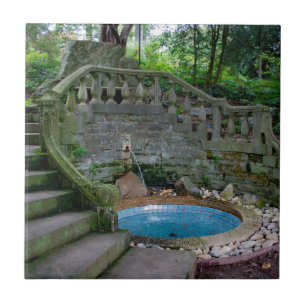 Carreau En Céramique Fontaine du Jardin Bleu