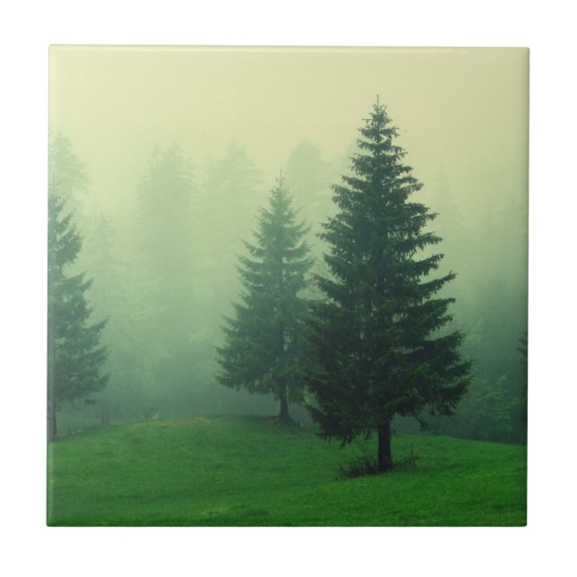 Carreau En Céramique Forêt brumeuse de pin (Devant)