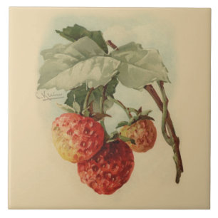 Carreau En Céramique Fraises vintages