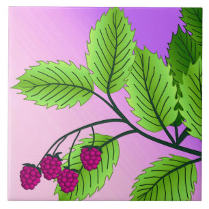 Carreau En Céramique Framboises sur une branche