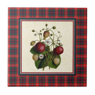 Carreau En Céramique Fraser de tartan moderne de Lovat avec la fraise