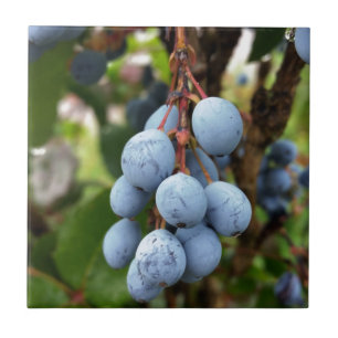 Carreau En Céramique Fruit de prunellier