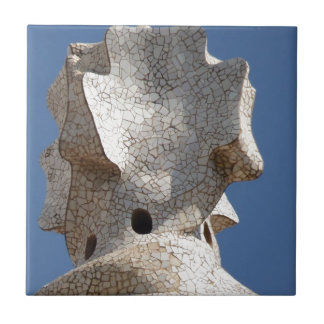 Carreau En Céramique gaudi