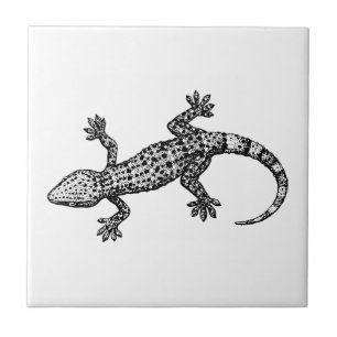 Carreau En Céramique Gecko