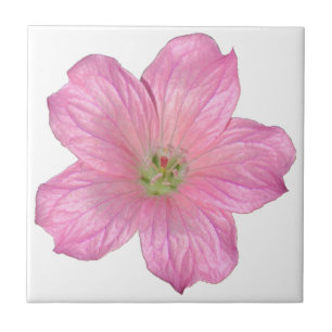Carreau En Céramique Géranium rose