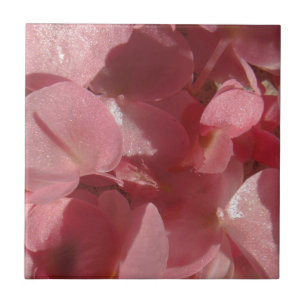 Carreau En Céramique Géranium rose : presque solide Rose clair