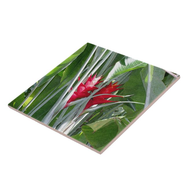 Carreau En Céramique Ginger rouge (Côté)