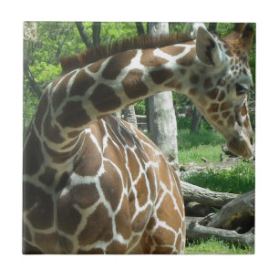 Carreau En Céramique Girafe gracieuse
