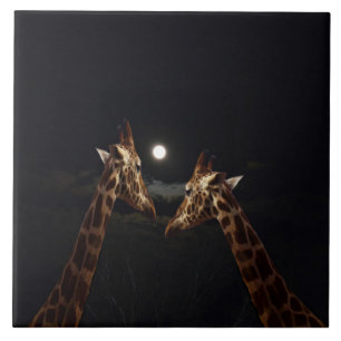 Carreau En Céramique Giraffe Love In the Moonlight