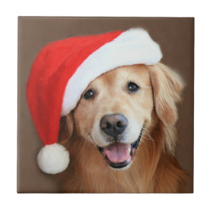 Carreau En Céramique Golden retriever avec le casquette de Père Noël