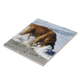 Carreau En Céramique Golden retriever TOUT LE MONDE ARRÊT ! J'ai perdu