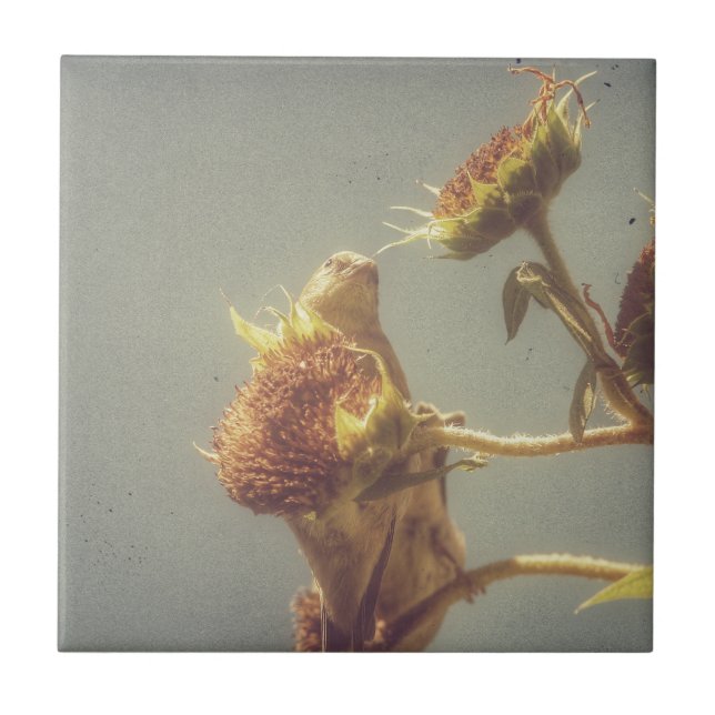 Carreau En Céramique Goldfinch (Devant)