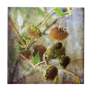 Carreau En Céramique Goldfinch et Sunflowers