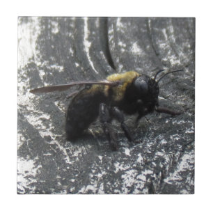 Carreau En Céramique Gouttes de pluie