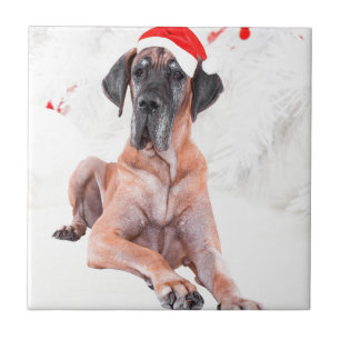Carreau En Céramique Grand chien Danse Casquette Joyeux Noël