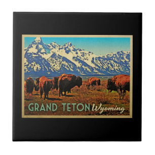 Carreau En Céramique Grand Teton Wyoming Buffalo