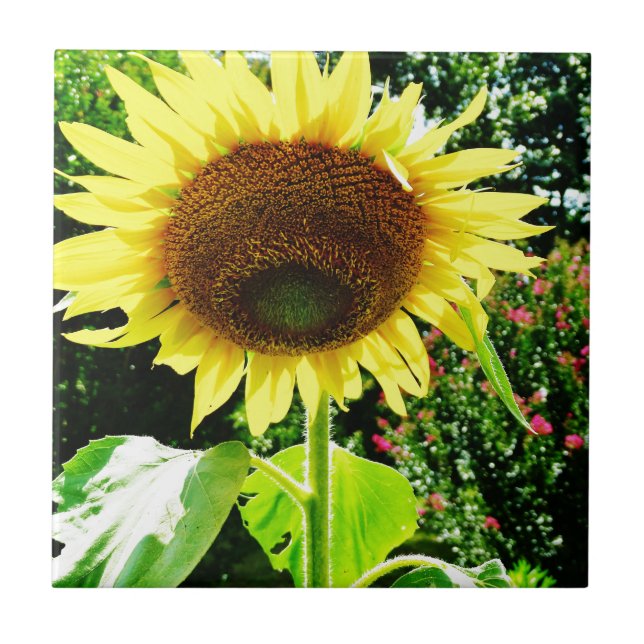 Carreau En Céramique Grand tournesol jaune (Devant)