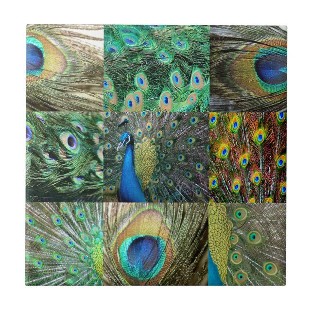 Carreau En Céramique Green Blue Peacock photo collage (Devant)