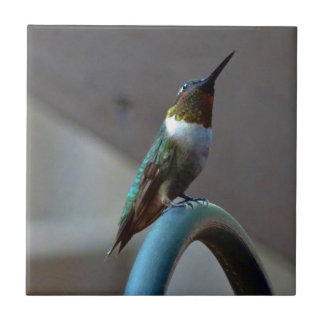 Carreau En Céramique Green ruby little hummingbird