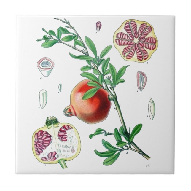 Carreau En Céramique Grenade (Devant)