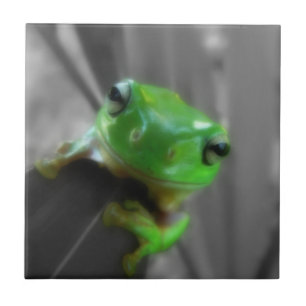 Carreau En Céramique Grenouille verte brillante