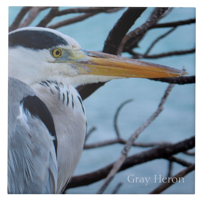 Carreau En Céramique Grey Heron (Devant)