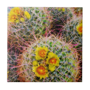 Carreau En Céramique Gros cactus baril, Californie