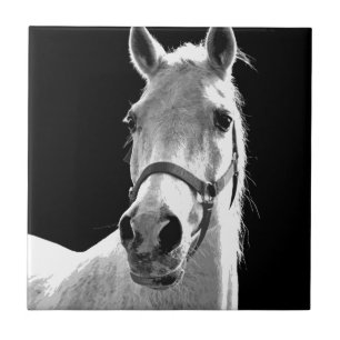 Carreau En Céramique Gros plan Cheval blanc noir en nuit
