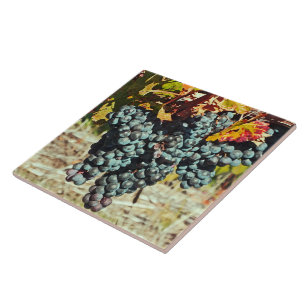 CARREAU EN CÉRAMIQUE "GROUPE DE RAISINS DANGEREUX DE VIN" CÉRAMIQUE TIL