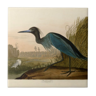 Carreau En Céramique Grue bleue Héron Impression Audubon Art côtier