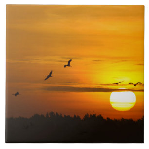 Carreau En Céramique Grues au lever du soleil