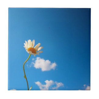 Carreau En Céramique Grytunderlägg Daisy