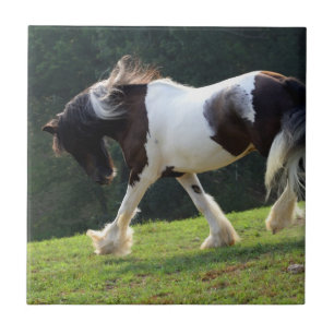 Carreau En Céramique Gypsy Vanner