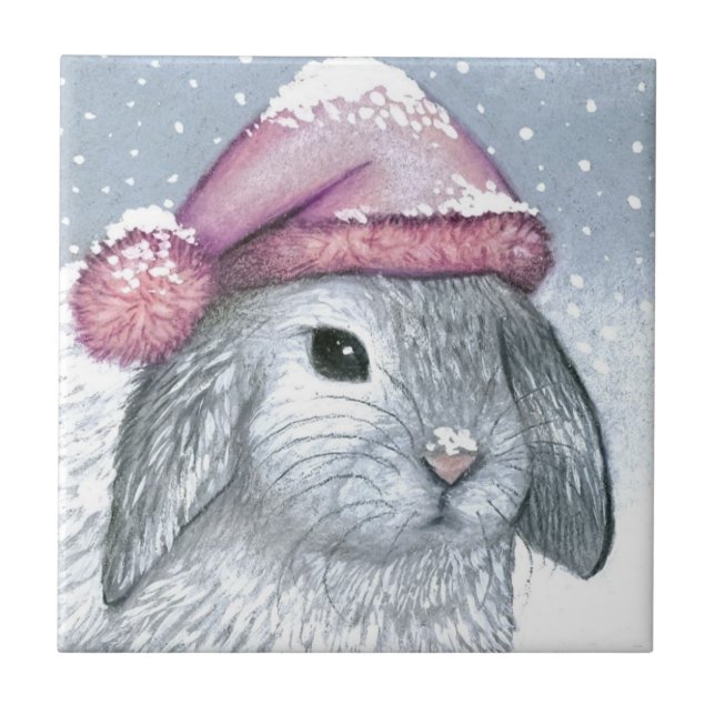 Carreau En Céramique Hare 14 rabbit (Devant)