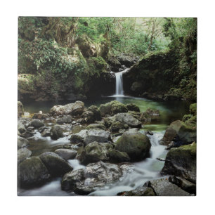 Carreau En Céramique Hawaï, Maui, Une cascade se jette dans la piscine 