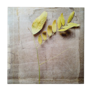 Carreau En Céramique Herbier V